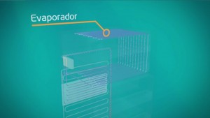 Video 02