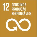 consumo e produção responsáveis